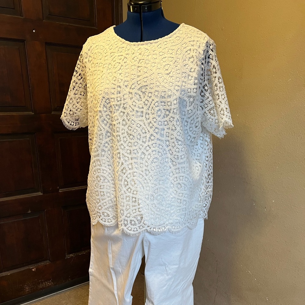 White pantsuit ( white denim faded Glory pants and white crochet top